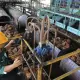 Bangkit dari Badai PHK, Manufaktur Indonesia Kembali Ekspansi dan Rekrut Pekerja